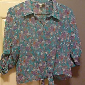 Super cute crop top sheer with button down collar